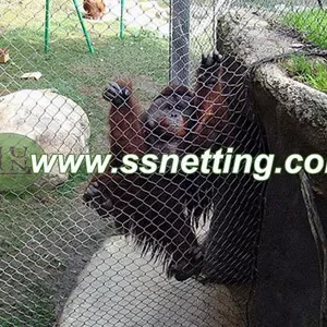 Animal Enclosure Netting